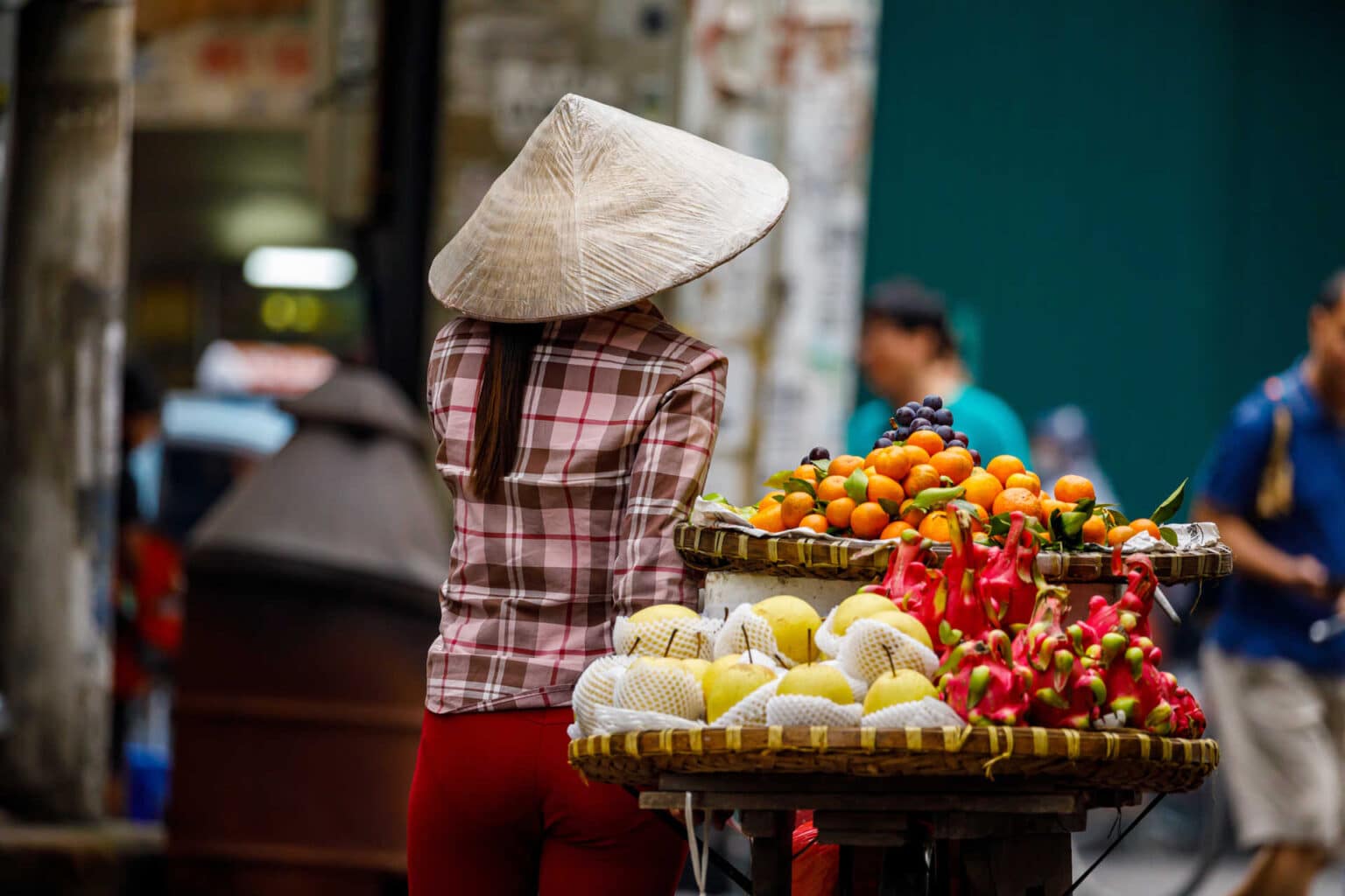 Les Tomates en Voyage : Découvrez la Fascinante Histoire de ce Fruit ...