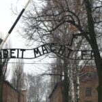 participez-a-un-voyage-organise-a-auschwitz-au-depart-de-lyon-decouvrez-le-devoir-de-memoire-et-lhistoire-de-lholocauste