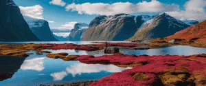 Découvrez la Norvège à travers un itinéraire fascinant